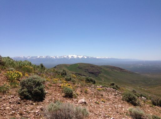 File:2014-06-01 12 06 44 View southeast toward the Ruby Mountains from  around 7040 feet along a dirt road on the western slopes of Elko Mountain.JPG  - Wikimedia Commons