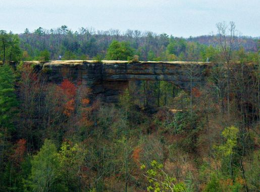 File:Natural Bridge (Kentucky).jpg - Wikimedia Commons