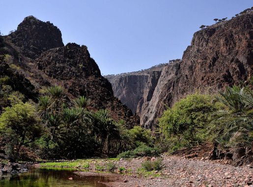 File:Socotra Island, Yemen (16833268055).jpg - Wikimedia Commons