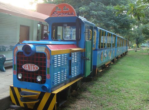 File:Childrens train botanical garden puducherry,india.JPG - Wikimedia  Commons