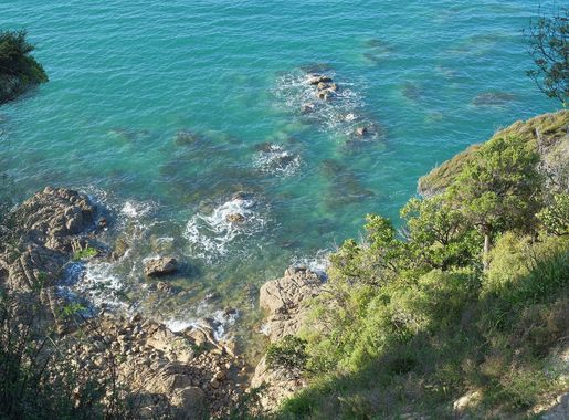 File:View from Abel Tasman Coastal Track down rocky coast near Ratakura  Point.jpg - Wikimedia Commons