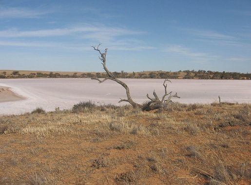 File:Pink Lakes at Murray Sunset NP.JPG - Wikimedia Commons