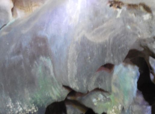 File:Elephants of Tabon Cave view 2.jpg - Wikipedia