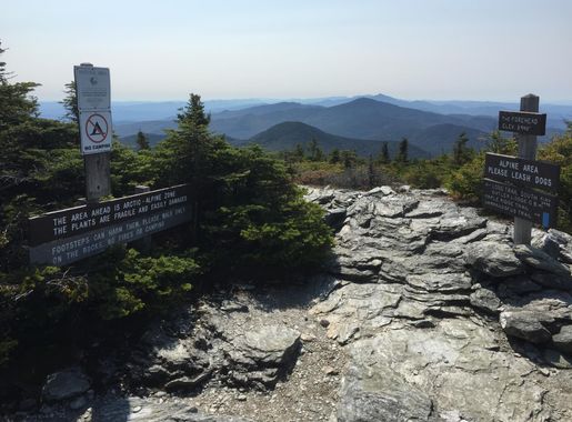 File:2017-09-11 12 09 19 View south along the Long Trail at the junction