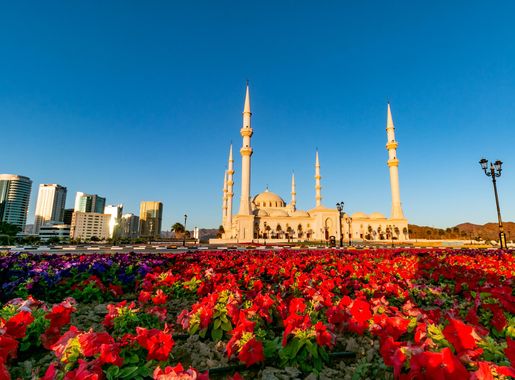 File:Garden and the town.jpg - Wikipedia