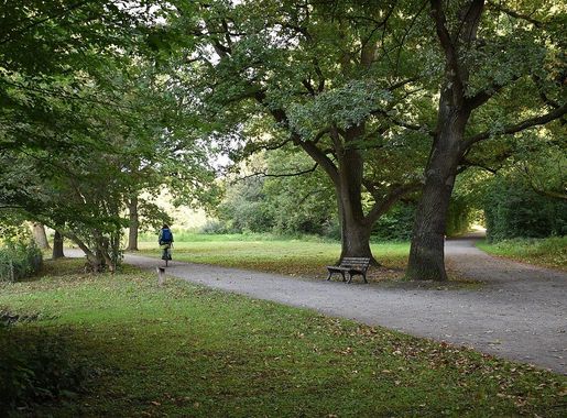 File:2021-09-19 Hermann-Löns-Park Hannover Kleefeld.jpg - Wikimedia Commons