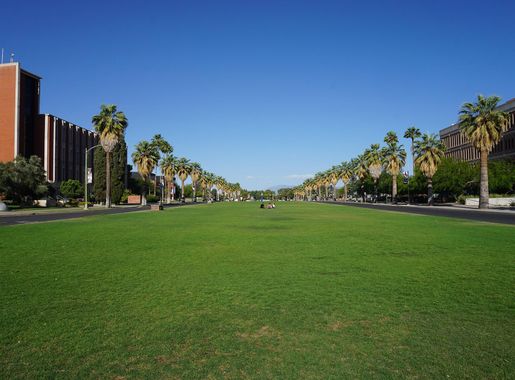 File:University of Arizona May 2019 38 (Mall).jpg - Wikimedia Commons
