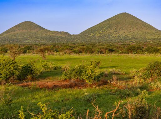 File:Tsavo West National Park, Kenya (53493414096).jpg - Wikimedia Commons