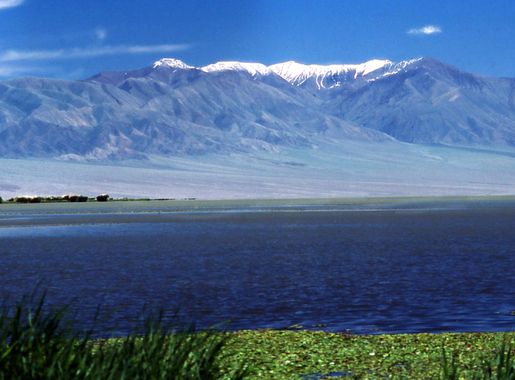 File:Jargalant Mountain2.JPG - Wikipedia