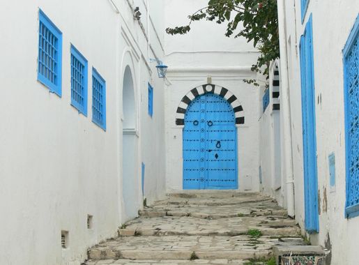 File:Sidi Bou Said Allee.jpg - Wikimedia Commons