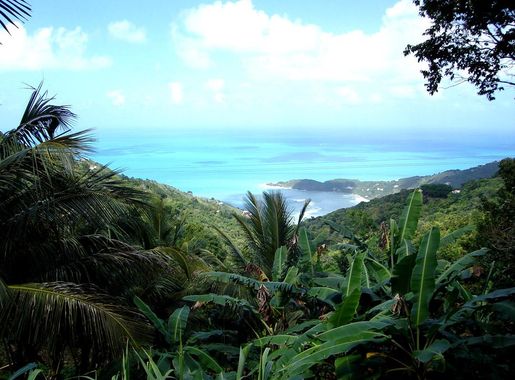 File:Tortola.jpg - Wikipedia