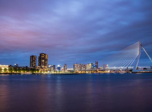 Skyline and Erasmus Bridge at night in Rotterdam, Netherlands image - Free  stock photo - Public Domain photo - CC0 Images