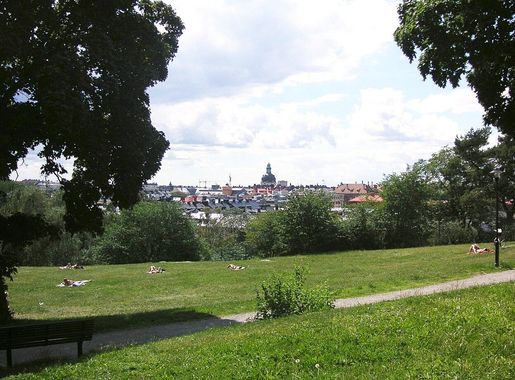 File:Vanadislunden 2008c.jpg - Wikimedia Commons