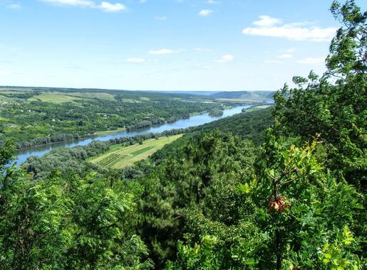 File:Rezervatia Rudi-Arionesti Soroca-Dondiuseni (8).jpg - Wikimedia Commons