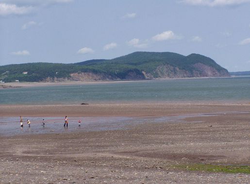 File:Fundy National Park of Canada 6.jpg - Wikimedia Commons