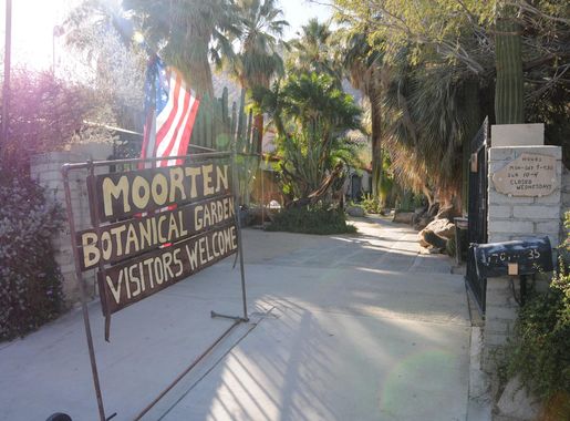 File:Moorten Botanical Garden and Cactarium.jpg - Wikimedia Commons