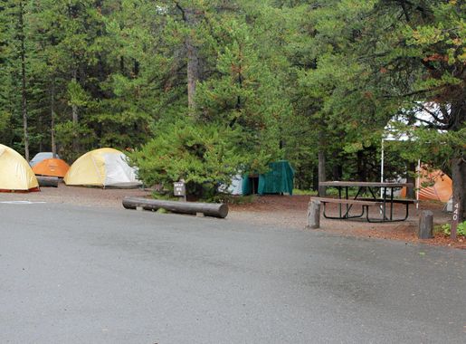 File:Bridge Bay Campground group site (16589996180).jpg - Wikimedia Commons