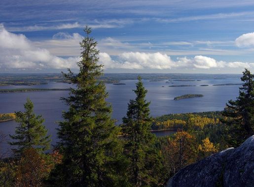 File:Koli National Park, North Karelia, Finland - Scenery from  Ukkokoli.jpeg - Wikimedia Commons