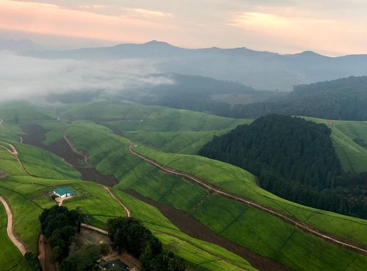 Dosiye:Foggy-sunrise-rwanda.ngsversion.1474048474112.adapt.1900.1.jpg -  Wikipedia