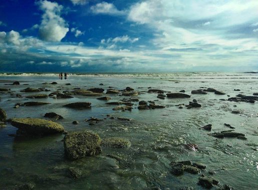 File:Coral rocks, Inani Beach.jpg - Wikimedia Commons