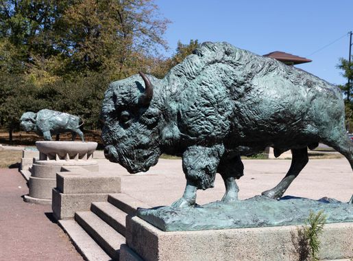 File:World's Fair Bison Humboldt Park Chicago 2020-0667.jpg - Wikimedia  Commons