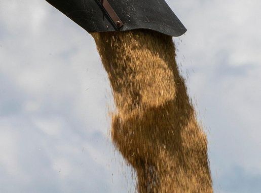 Water flows South Fork Nooksack | Free Photo - rawpixel