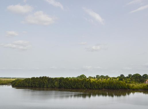File:Rio Farim-Cacheu, São Vicente, Guinea-Bissau (9087168099).jpg -  Wikimedia Commons