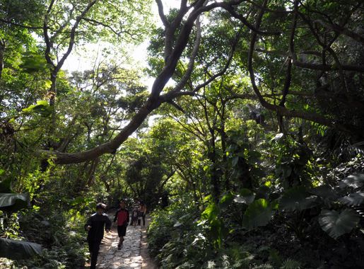 Less Than A Beer: Sefa-utaki sacred site > Kadena Air Base > Display