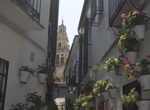 File:Córdoba-Judería-Calleja de las Flores-20110917.jpg - Wikimedia Commons