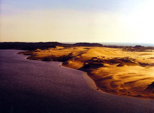 File:Silver Lake Dunes Michigan 1.jpg - Wikipedia