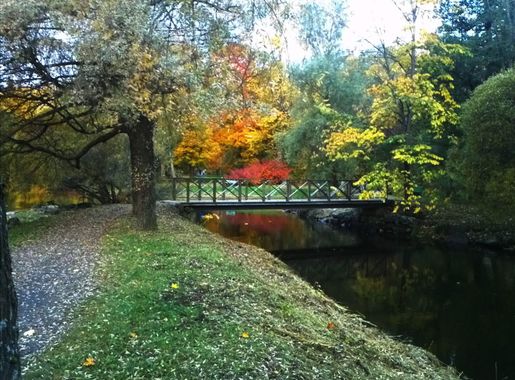 File:Gavleån in Boulognerskogen, Gävle.jpeg - Wikipedia