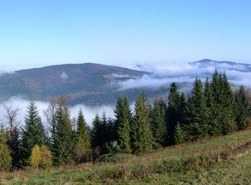 Gorce Mountains - Wikipedia