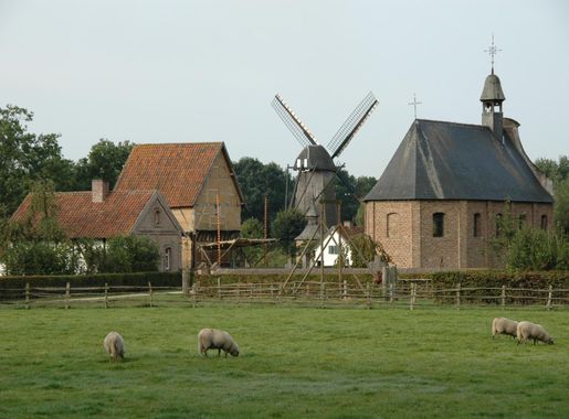 File:Bokrijk haspengouw.JPG - Wikimedia Commons