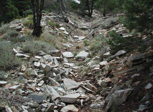 File:Oseola Ditch NV NPS.jpg - Wikimedia Commons
