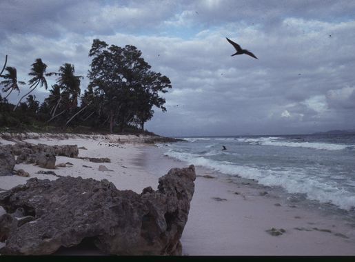 File:Seychelles Aride Island - panoramio (1).jpg - Wikimedia Commons