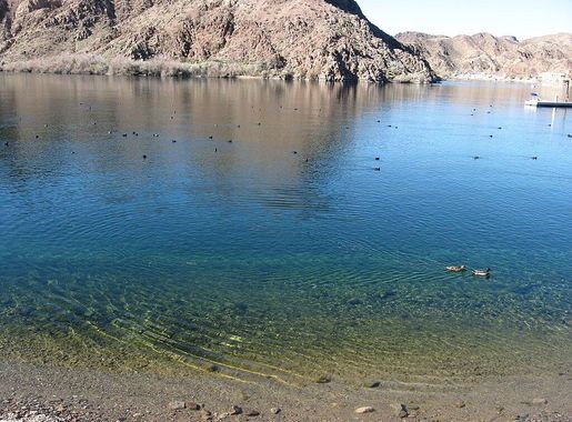 File:Willow Beach, Lake Mead National Recreation Area 5 (5443592510).jpg -  Wikimedia Commons