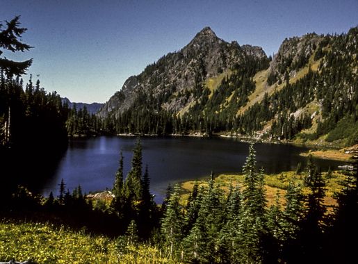 Scenery from Olympic National Park in Washington image - Free stock photo -  Public Domain photo - CC0 Images