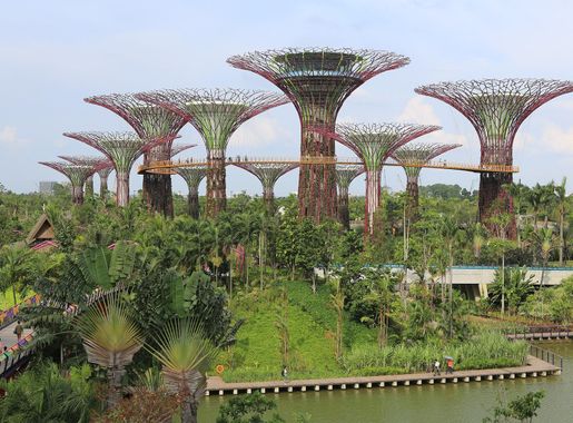 File:Supertree Grove, Gardens by the Bay, Singapore - 20120712-02.jpg -  Wikipedia