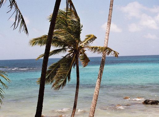 File:PalmenCornIslands.jpg - Wikimedia Commons