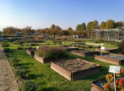 Free picture: botanic garden, tree, house, grass, greenhouse, garden,  outdoor, blue sky