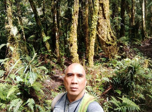 File:Enchanting Greenery Along the Path to Mt. Apo Basecamp.jpg - Wikimedia  Commons