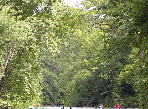 File:Current River MO 2009-06-15 n65 below Welch Spring crop2.jpg -  Wikimedia Commons