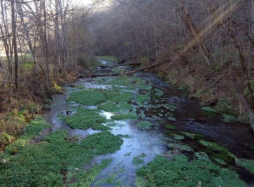 File:Gfp-minnesota-beaver-creek-valley-scenic-view-of-the-creek.jpg -  Wikimedia Commons