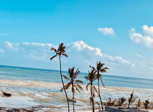 Zaina Larssons Beach Hotel Nungwi: 3 star Hotel with a Minimum Price  243902TZS| UPDATED FOR 2025 | zanzibarhotelstoday.net