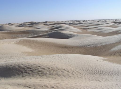 File:Sahara close to Tozeur (Tunisia).jpg - Wikipedia
