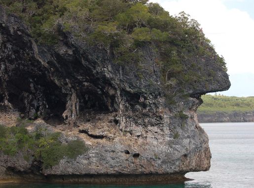 File:Jokin, Lifou, 2007 (1).JPG - Wikimedia Commons