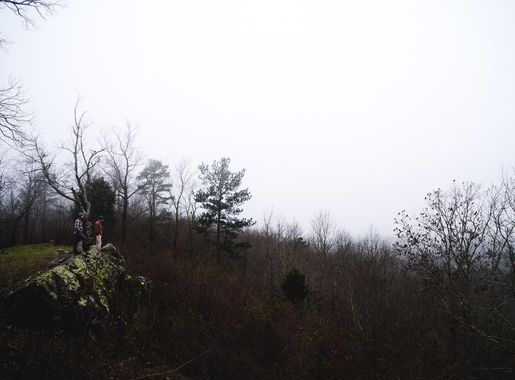 File:Oak Mountain State Park, Pelham, United States (Unsplash).jpg -  Wikimedia Commons