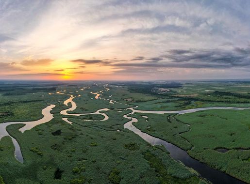 Файл:Прип'ять-Стохід на світанку.jpg — Вікіпедія