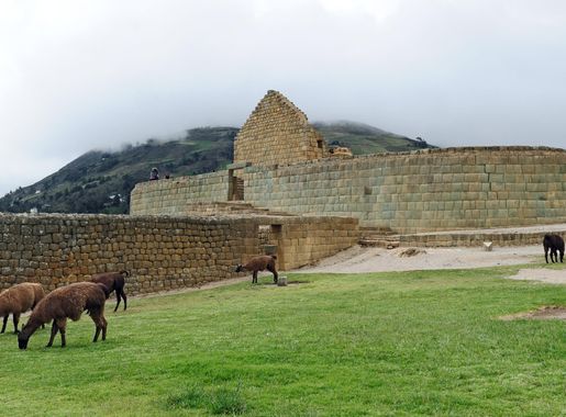 Archivo:Ingapirca Temple of the sun.jpg - Wikipedia, la enciclopedia libre