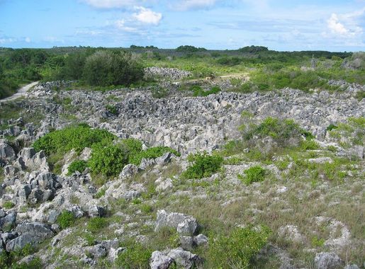 Nauru – Vikipeedia